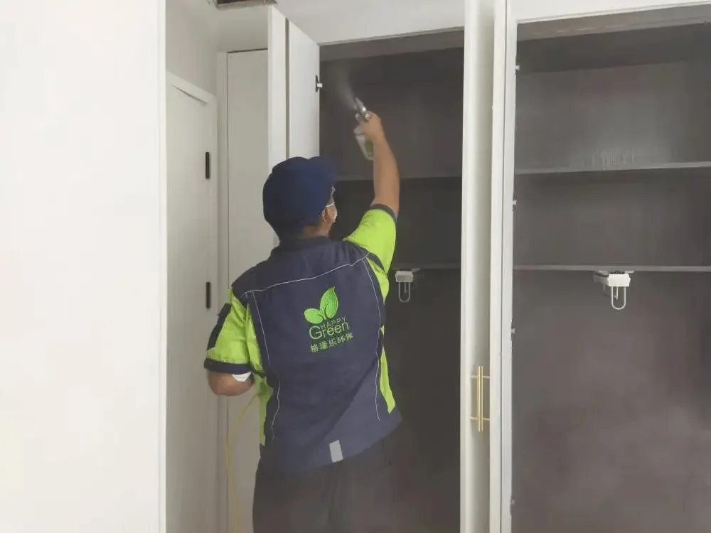 武汉新房绿植除醛！门道全在这